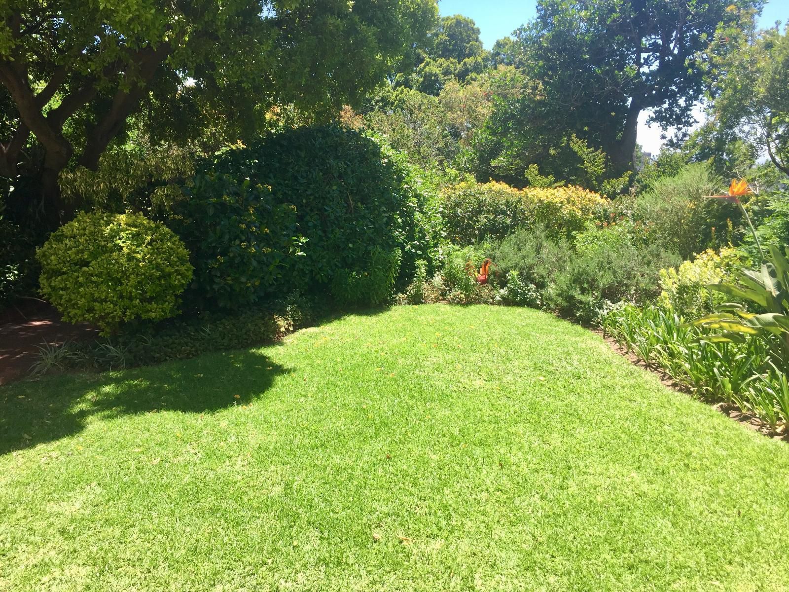Villa Lutzi Oranjezicht Cape Town Western Cape South Africa Plant, Nature, Garden