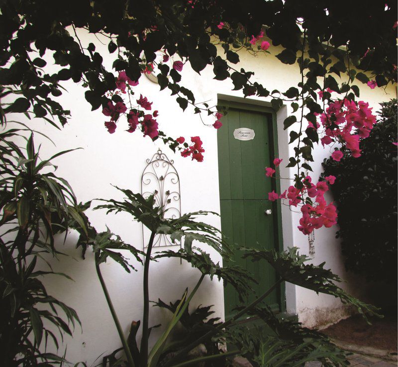 Villa Panorama Cove Rock East London Eastern Cape South Africa Door, Architecture, Plant, Nature, Framing