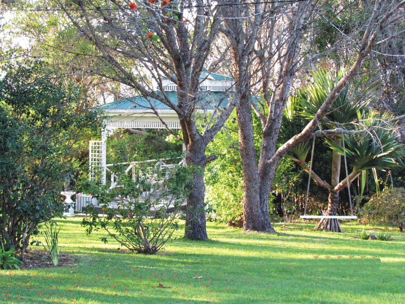 Villa Panorama Cove Rock East London Eastern Cape South Africa Plant, Nature, Tree, Wood