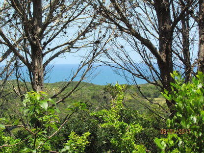 Villa Panorama Cove Rock East London Eastern Cape South Africa Complementary Colors, Nature