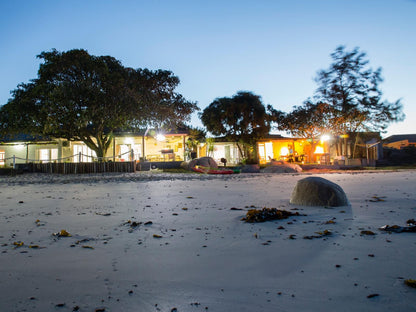 Villas On The Beach, Beach, Nature, Sand, Palm Tree, Plant, Wood