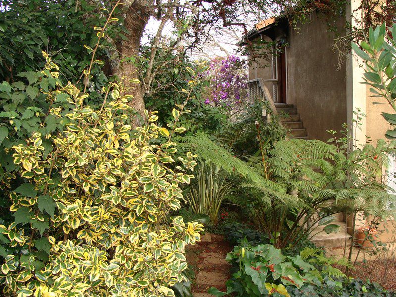 Villa Santuario Self Catering Guesthouse Hilton Pietermaritzburg Kwazulu Natal South Africa Plant, Nature, Garden