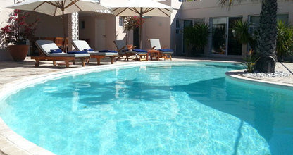 Villa St Leon Bantry Bay Cape Town Western Cape South Africa Palm Tree, Plant, Nature, Wood, Swimming Pool