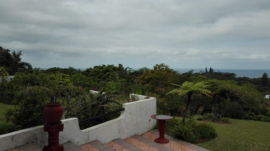 Villa Ventura Margate Kwazulu Natal South Africa Palm Tree, Plant, Nature, Wood, Garden