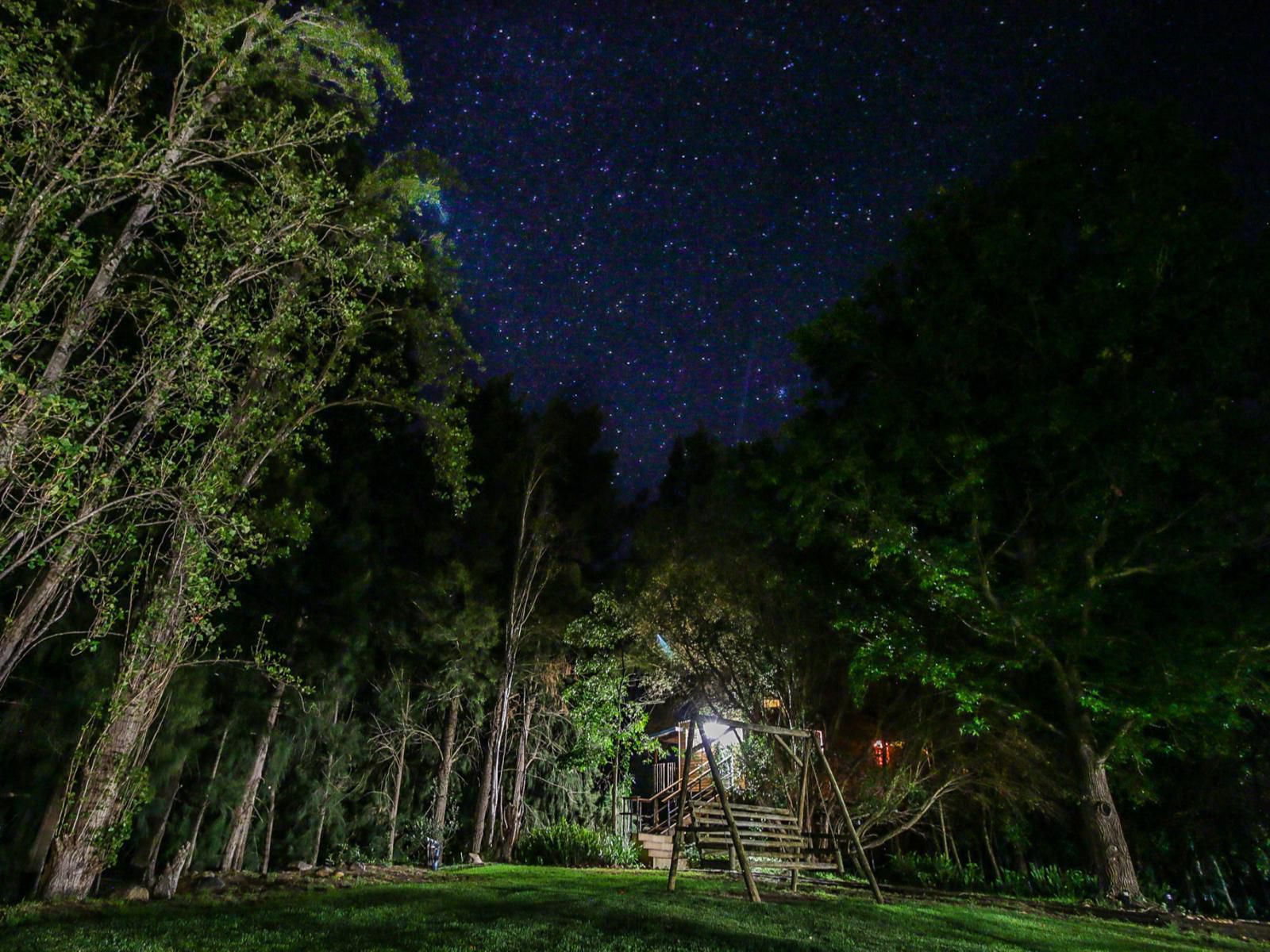 Vindoux Guest Farm And Spa Tulbagh Western Cape South Africa Night Sky, Nature