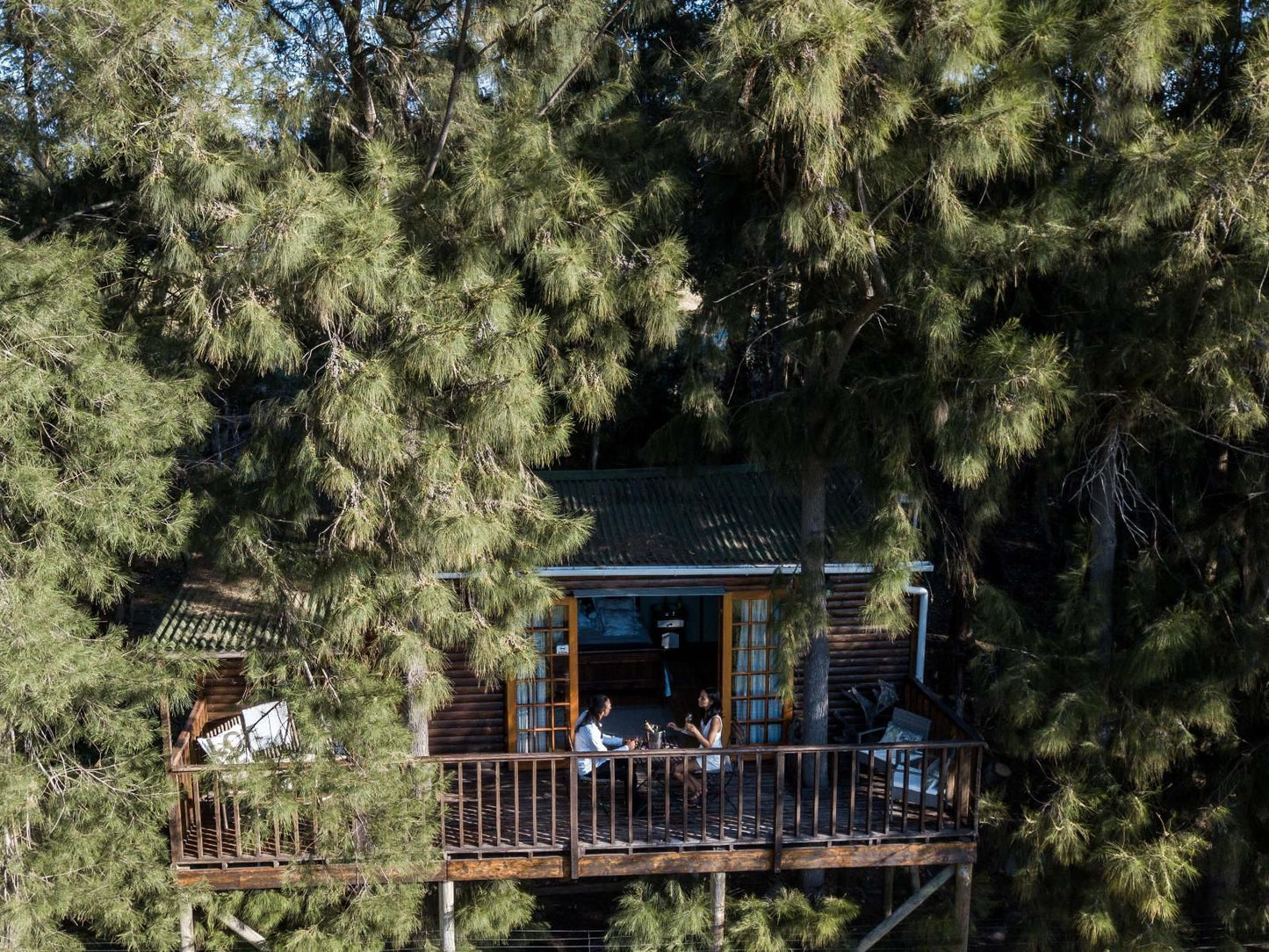 Vindoux Guest Farm And Spa Tulbagh Western Cape South Africa Cabin, Building, Architecture, Tree, Plant, Nature, Wood