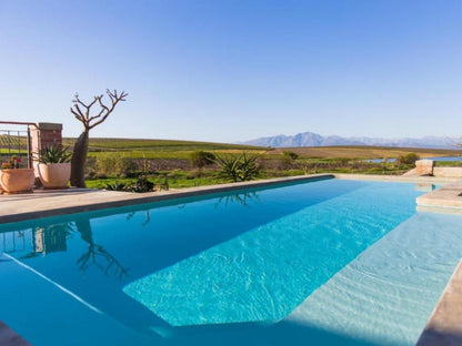 Vineyard Views Country House Riebeek Kasteel Western Cape South Africa Colorful, Swimming Pool