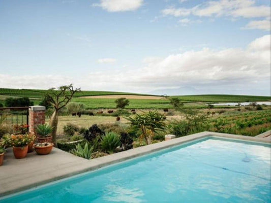 Vineyard Views Country House Riebeek Kasteel Western Cape South Africa Complementary Colors, Garden, Nature, Plant, Swimming Pool