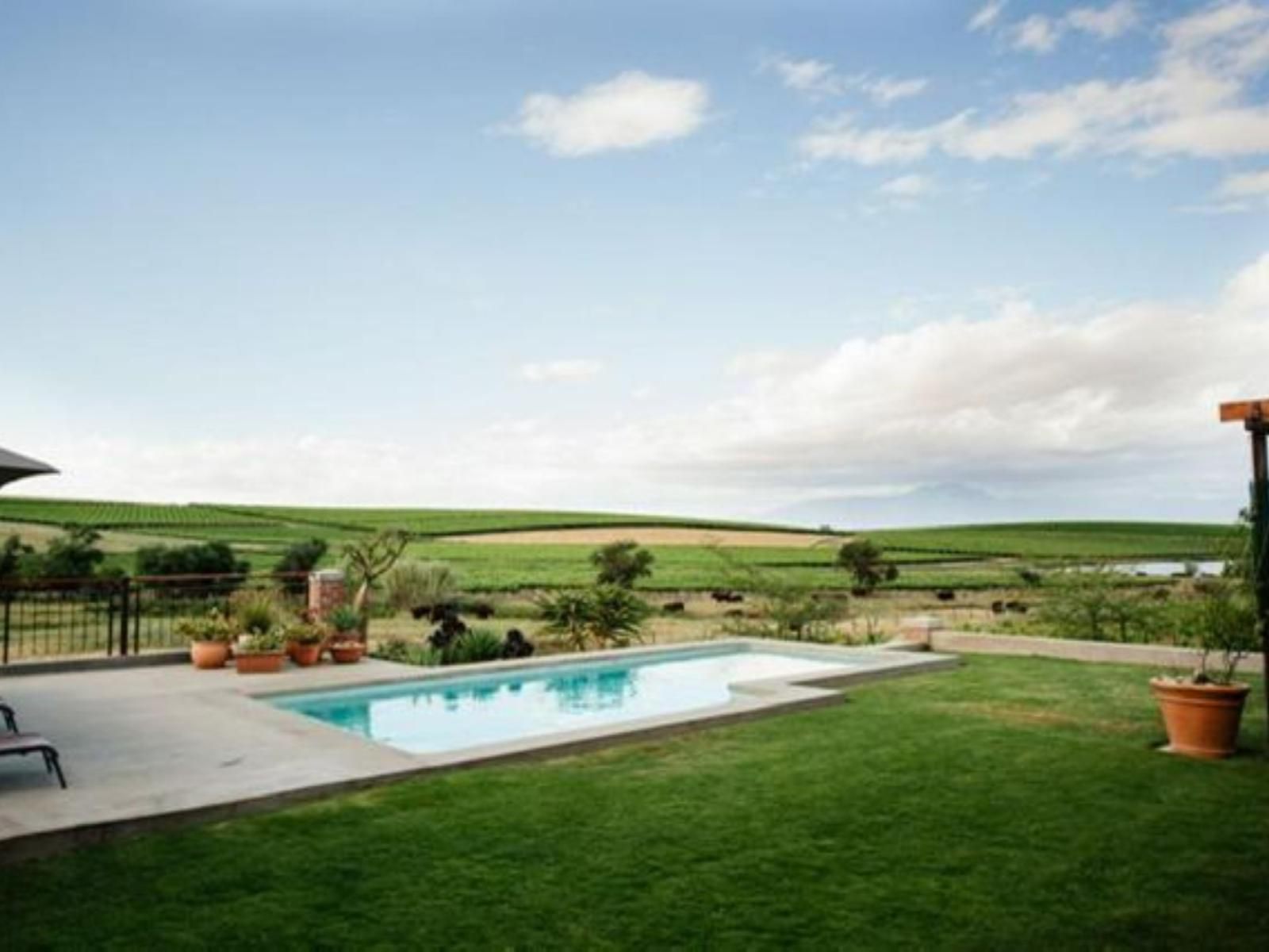 Vineyard Views Country House Riebeek Kasteel Western Cape South Africa Complementary Colors, Garden, Nature, Plant, Swimming Pool