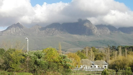 Viettz Suite Paradyskloof Stellenbosch Western Cape South Africa Mountain, Nature, Highland