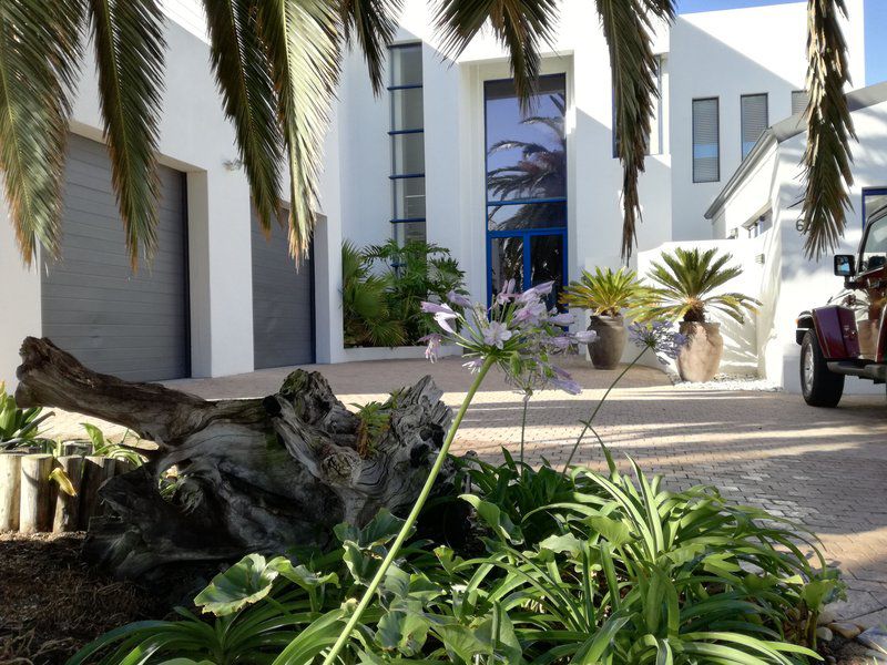 Vip Beach Villa Greenways Strand Western Cape South Africa House, Building, Architecture, Palm Tree, Plant, Nature, Wood, Reptile, Animal