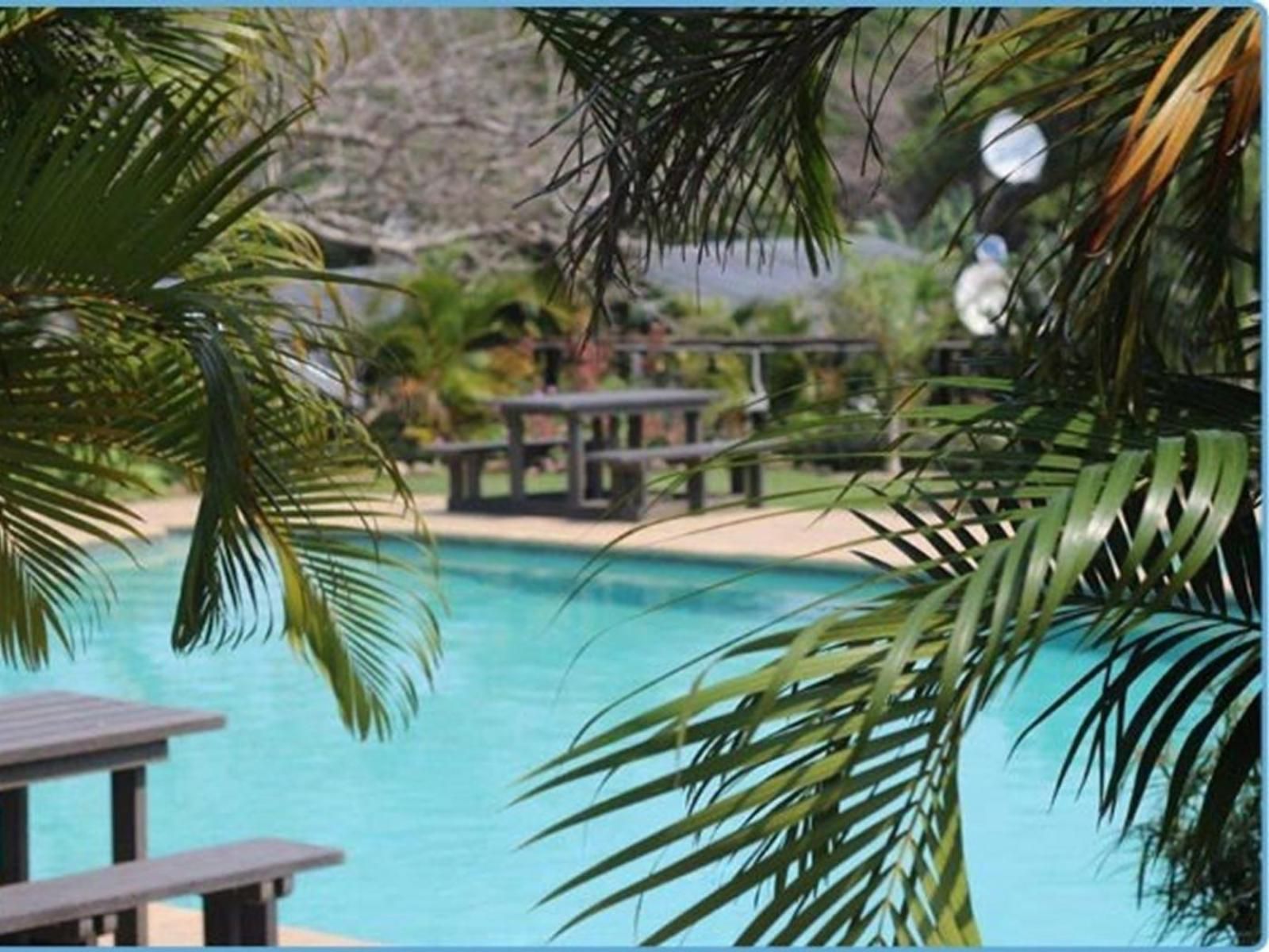 Vis Agie Resort Sodwana Bay Kwazulu Natal South Africa Complementary Colors, Palm Tree, Plant, Nature, Wood, Swimming Pool