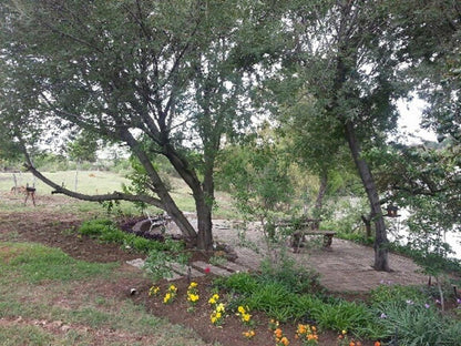 Vischgat Fishing Spot Deneysville Gauteng South Africa Unsaturated, Plant, Nature, Garden