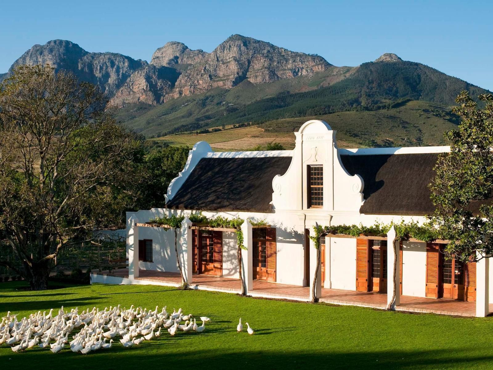 Visit Stellenbosch