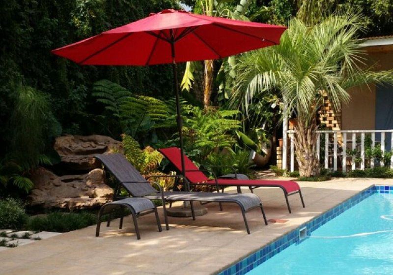 Vivian S Cottage Rietfontein Pretoria Tshwane Gauteng South Africa Palm Tree, Plant, Nature, Wood, Umbrella, Garden, Swimming Pool