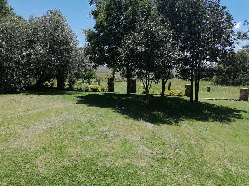 Vlakbult Guestfarm Clocolan Clocolan Free State South Africa Ball Game, Sport, Cemetery, Religion, Grave