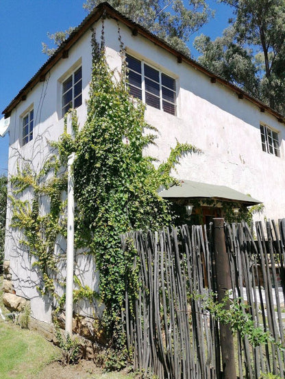 Vlakbult Guestfarm Clocolan Clocolan Free State South Africa Building, Architecture, House, Plant, Nature