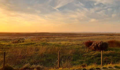 Vlei Lofts Milnerton Ridge Cape Town Western Cape South Africa Sepia Tones, Field, Nature, Agriculture, Lowland, Sunset, Sky