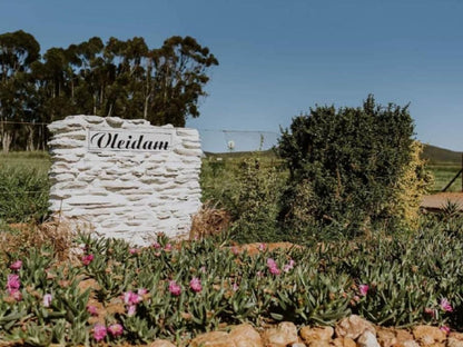 Vleidam Guest Farm Koringberg Piketberg Western Cape South Africa Plant, Nature, Sign