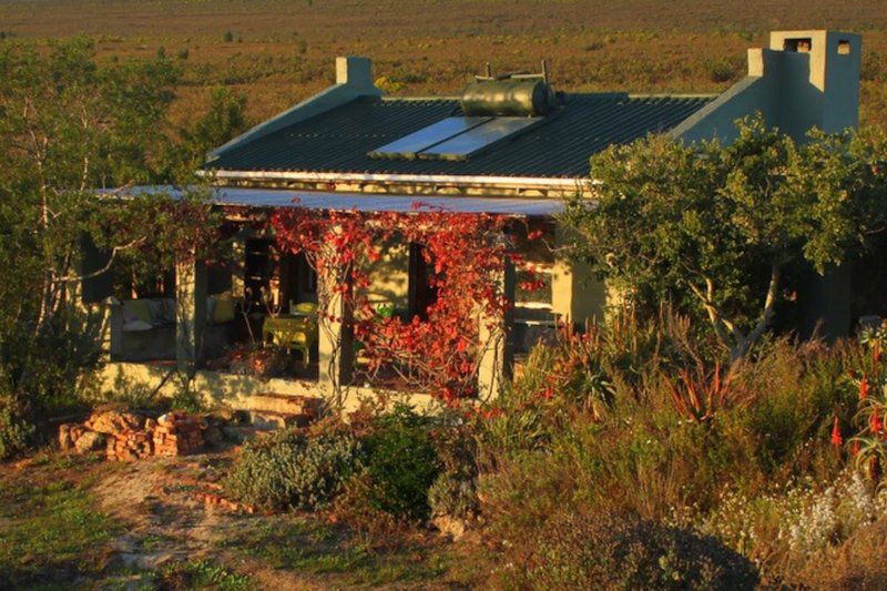 Vleiroos Cottage Sandberg Fynberg Reserve Baardskeerdersbos Western Cape South Africa Building, Architecture