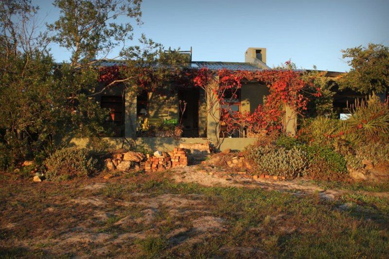 Vleiroos Cottage Sandberg Fynberg Reserve Baardskeerdersbos Western Cape South Africa Building, Architecture, Ruin