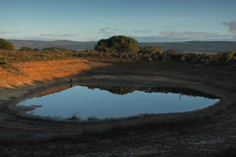 Vleiroos Cottage Sandberg Fynberg Reserve Baardskeerdersbos Western Cape South Africa Nature