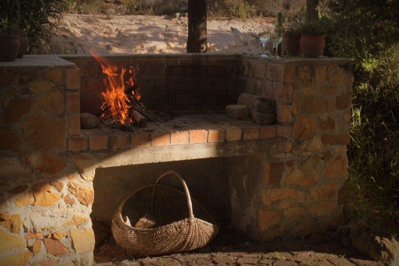 Vleiroos Cottage Sandberg Fynberg Reserve Baardskeerdersbos Western Cape South Africa Sepia Tones, Fire, Nature