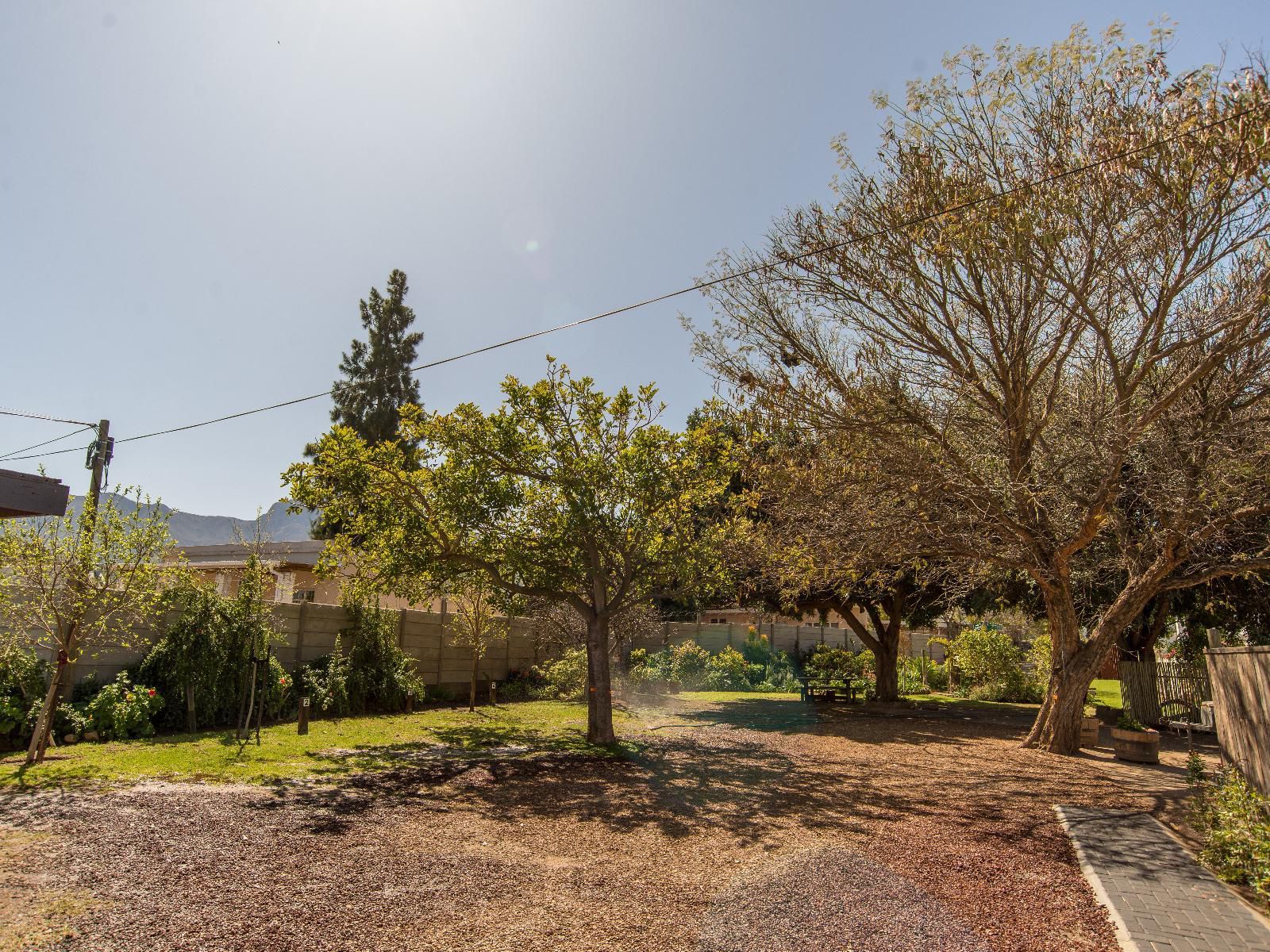 Vlettershof Guest House, Plant, Nature