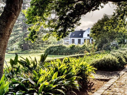 Vredenburg Manor House Raithby Stellenbosch Western Cape South Africa House, Building, Architecture, Plant, Nature, Garden