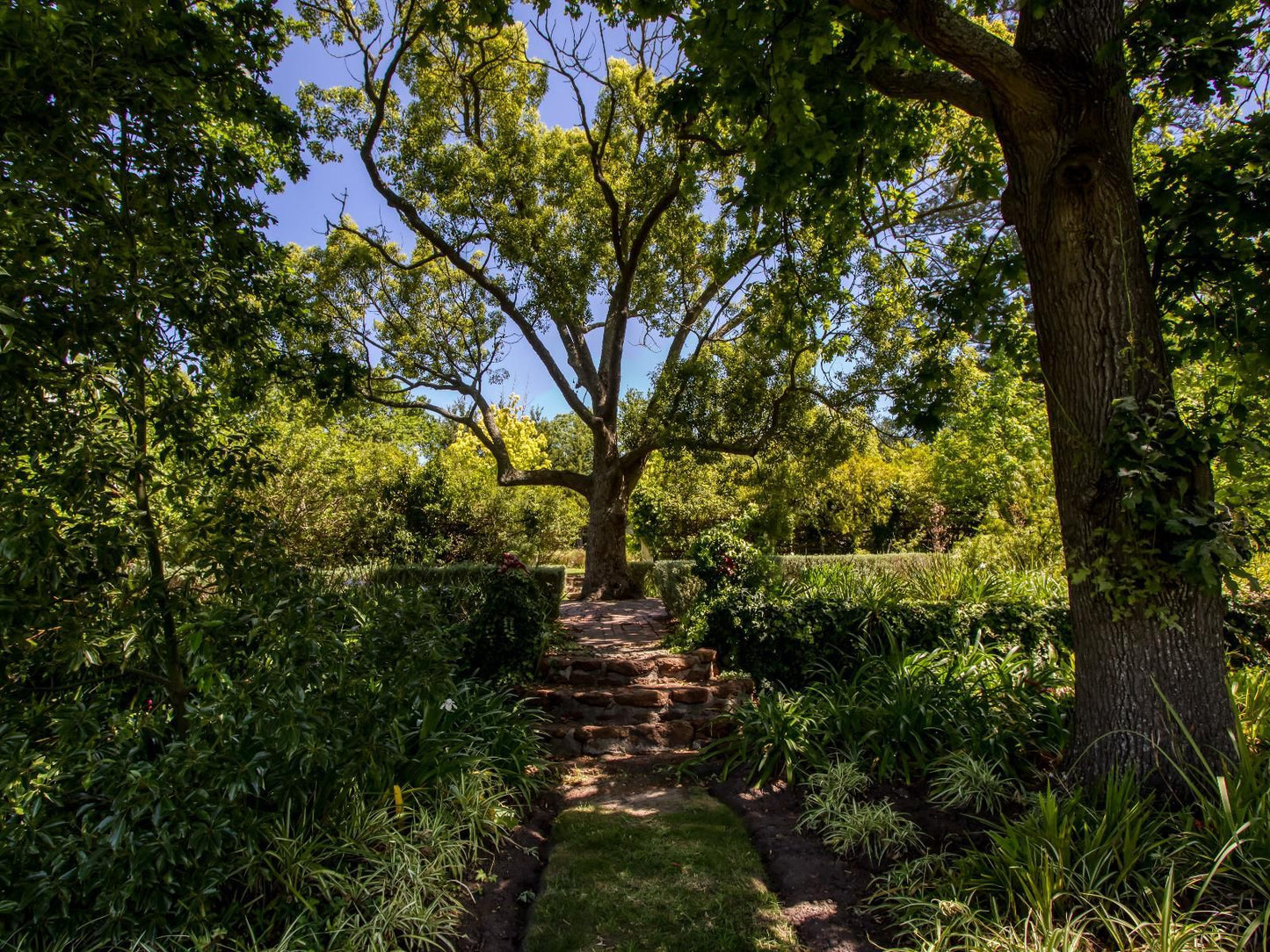 Vredenburg Manor House Raithby Stellenbosch Western Cape South Africa Plant, Nature, Tree, Wood, Garden