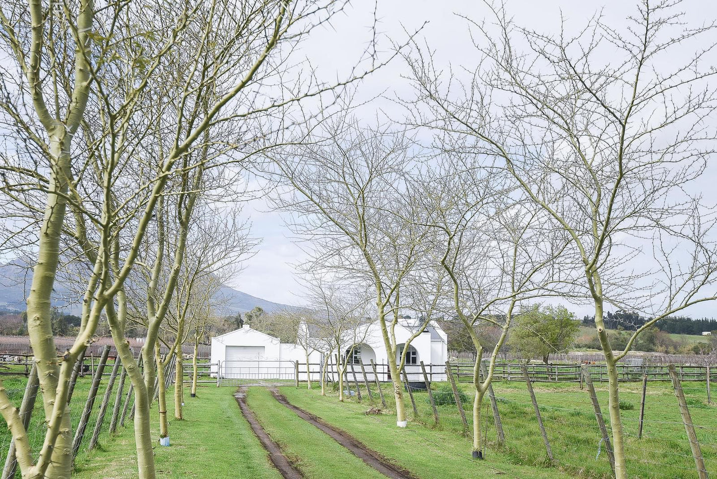 Vredenheim Guesthouse Devonvallei Stellenbosch Western Cape South Africa Highland, Nature