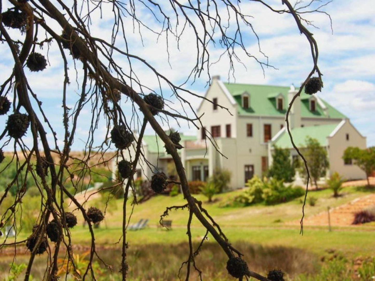 Peace Valley Guesthouse Napier Western Cape South Africa House, Building, Architecture, Window