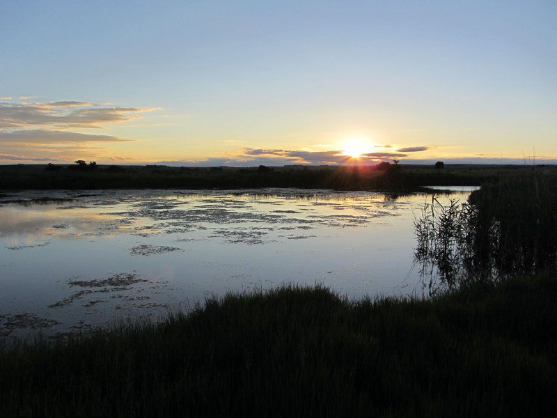 Vreugde Gasteplaas Self Catering Warden Free State South Africa Sky, Nature, Sunset