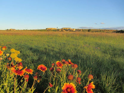 Vreugde Gasteplaas Self Catering Warden Free State South Africa Complementary Colors, Field, Nature, Agriculture, Meadow, Lowland