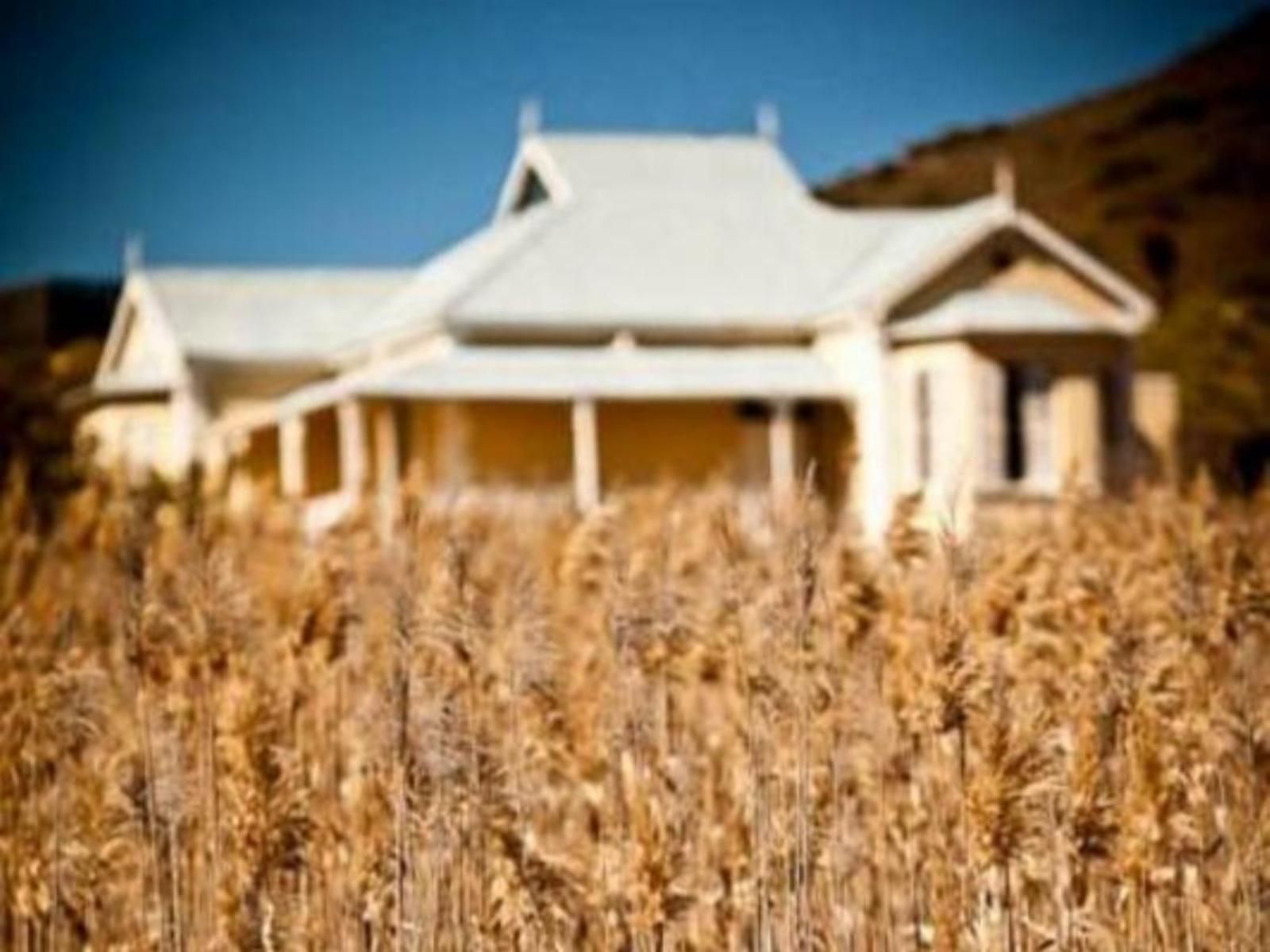 Vrisch Gewagt Prince Albert Western Cape South Africa Colorful, Building, Architecture, Field, Nature, Agriculture