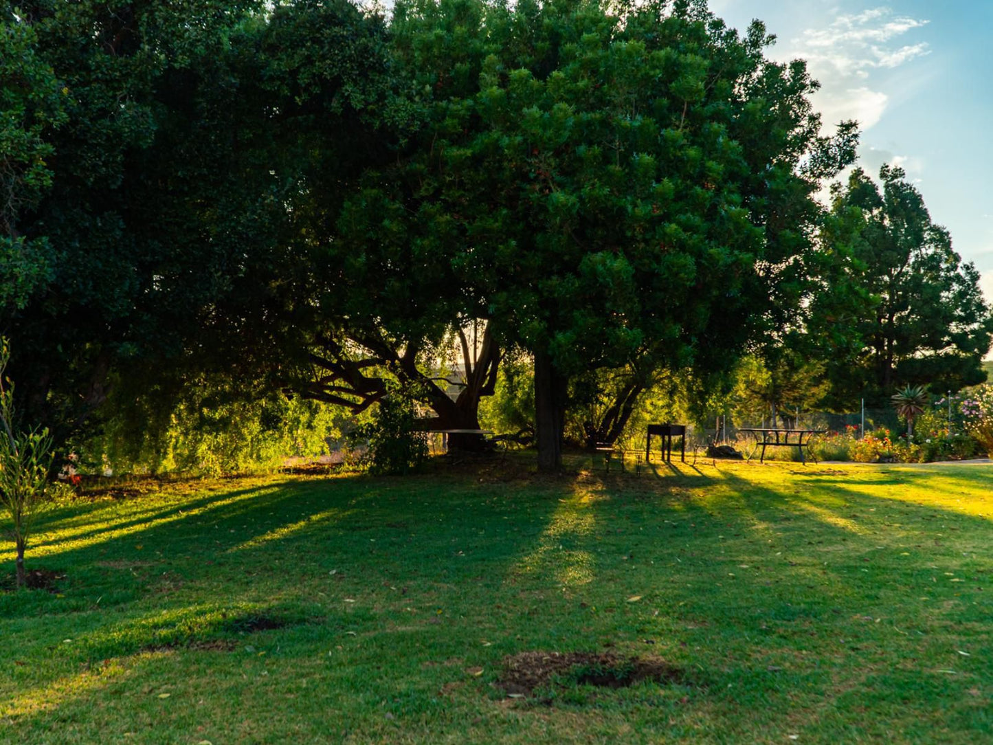 Vrugtegeur Guest Farm, Plant, Nature, Tree, Wood