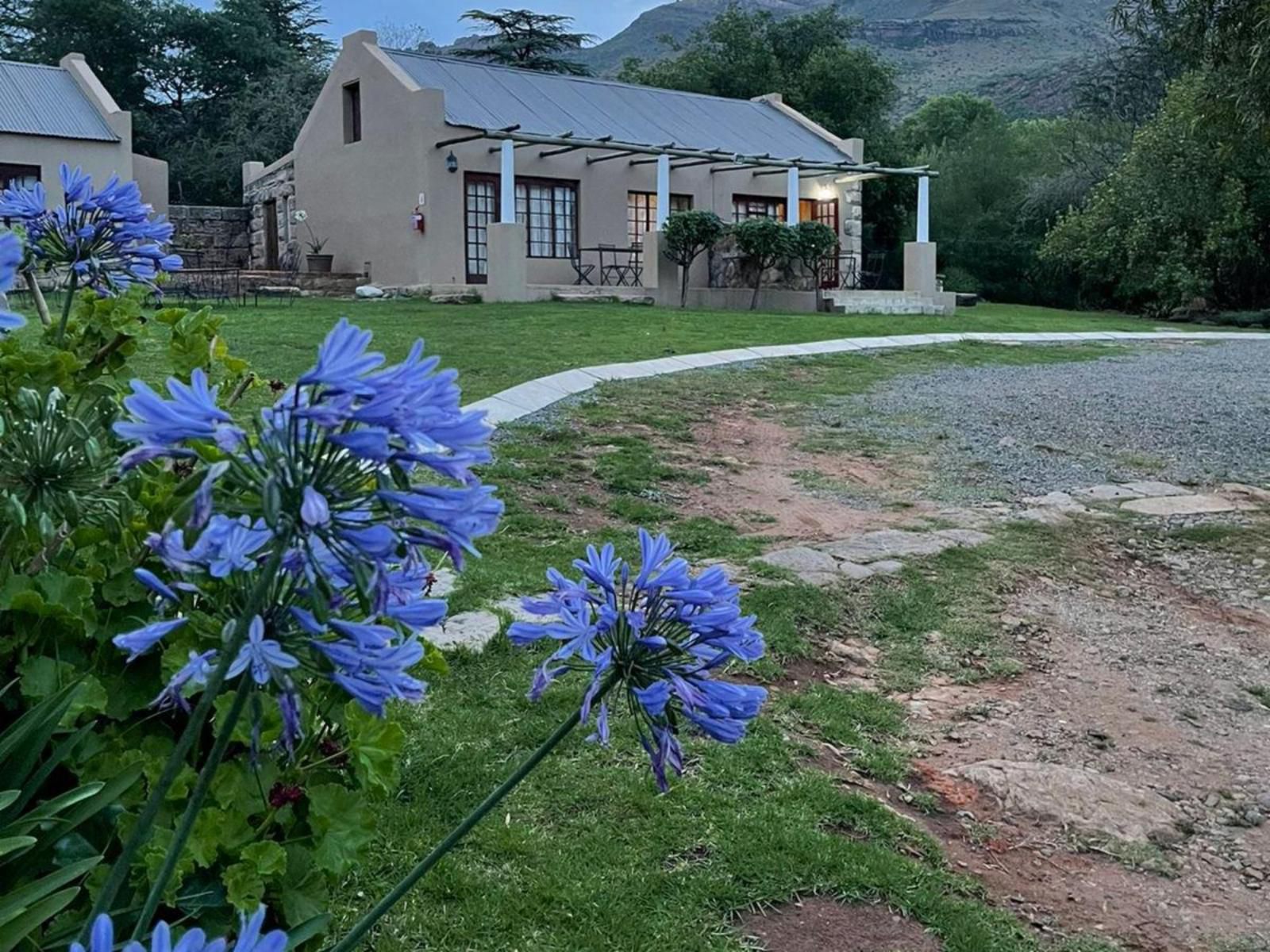 Vultures Lodge Zastron Free State South Africa House, Building, Architecture, Garden, Nature, Plant