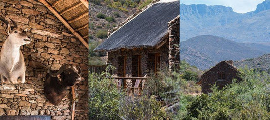 Vyver S Rus Ladismith Western Cape South Africa Building, Architecture, Cabin, Cactus, Plant, Nature
