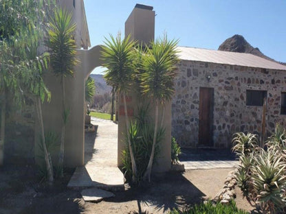 Wagendrift Lodge Laingsburg Western Cape South Africa Palm Tree, Plant, Nature, Wood