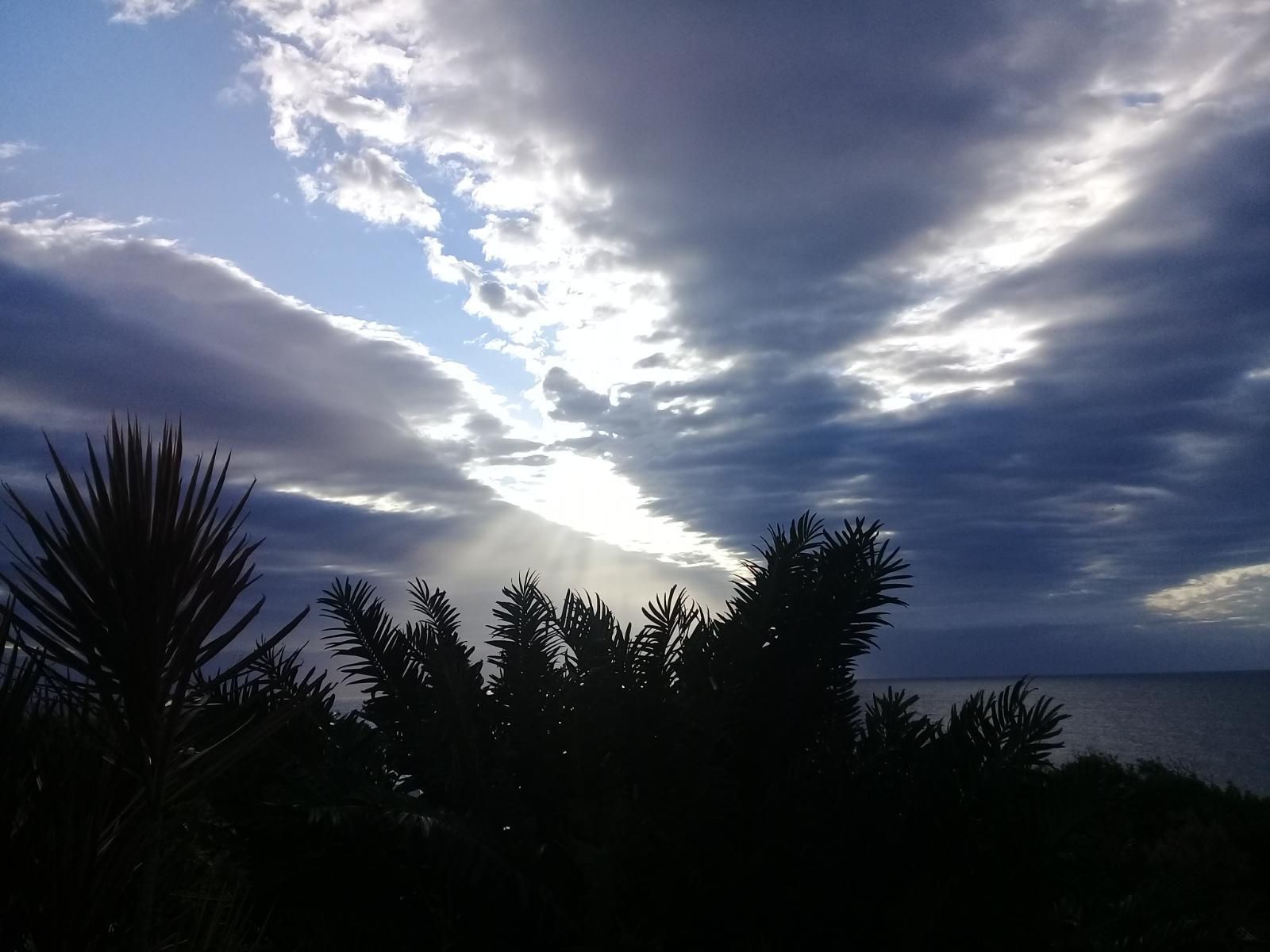 Wailana Beach Lodge Ramsgate Margate Kwazulu Natal South Africa Palm Tree, Plant, Nature, Wood, Sky, Clouds, Sunset