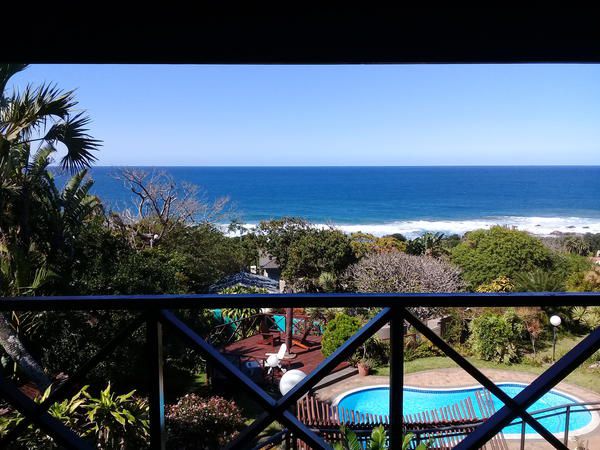 Wailana Beach Lodge Ramsgate Margate Kwazulu Natal South Africa Beach, Nature, Sand, Palm Tree, Plant, Wood, Framing, Ocean, Waters, Swimming Pool