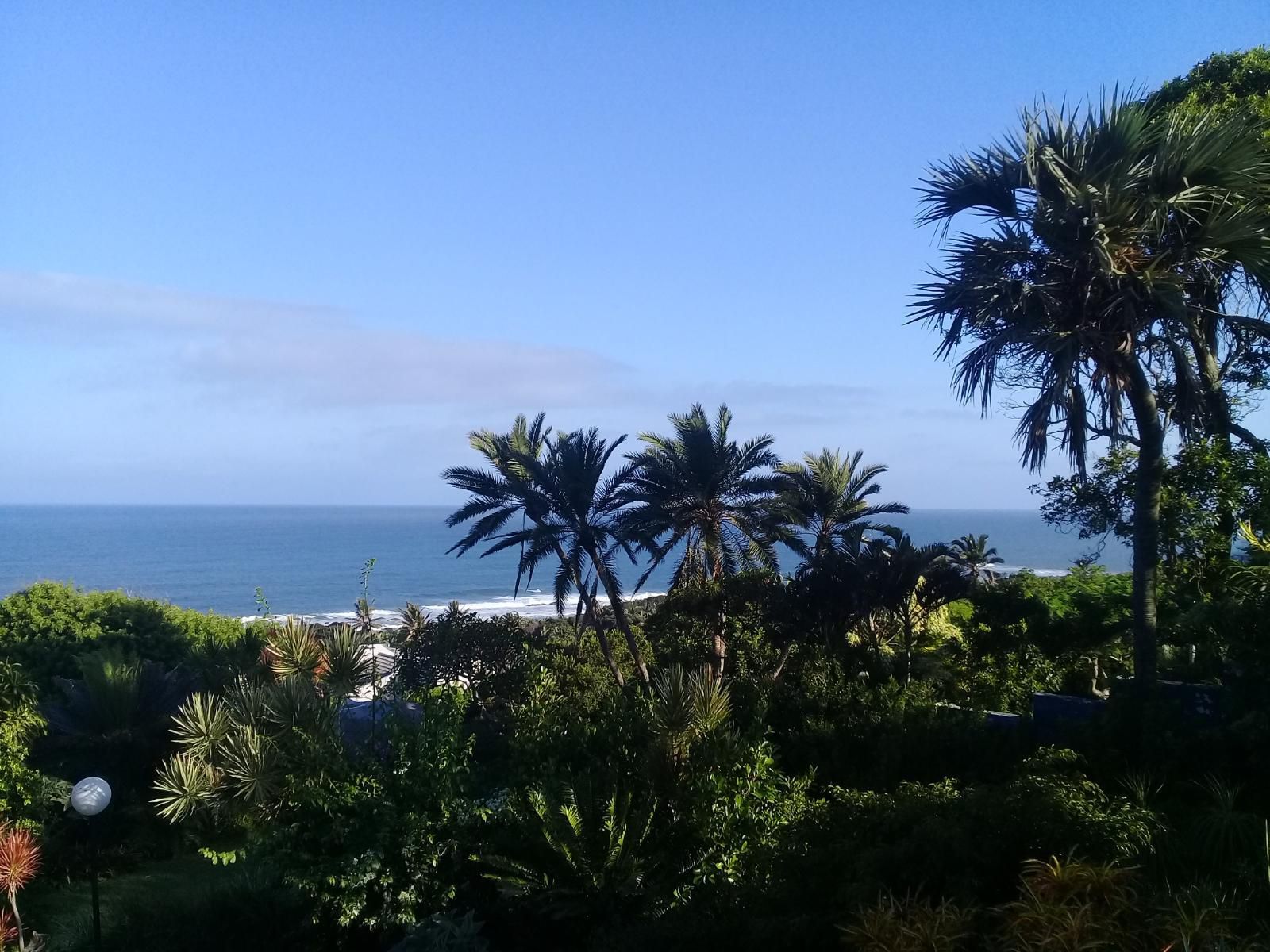 Wailana Beach Lodge Ramsgate Margate Kwazulu Natal South Africa Beach, Nature, Sand, Palm Tree, Plant, Wood