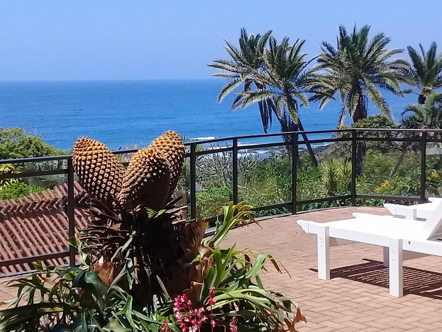 Wailana Beach Lodge Ramsgate Margate Kwazulu Natal South Africa Complementary Colors, Beach, Nature, Sand, Palm Tree, Plant, Wood