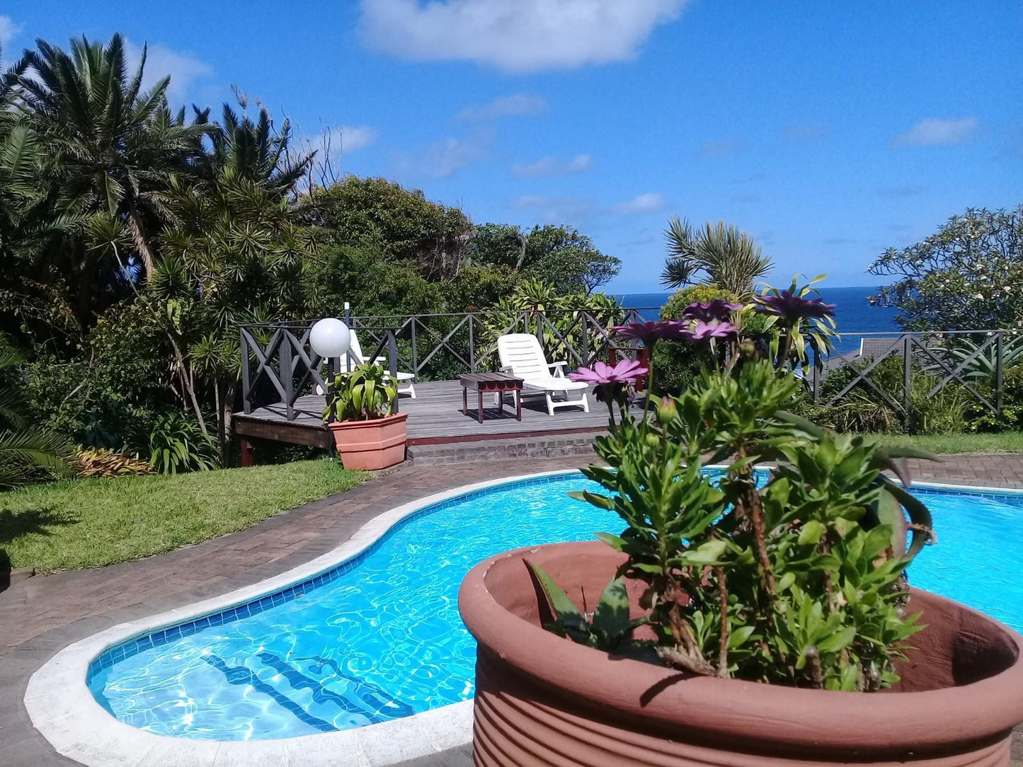 Wailana Beach Lodge Ramsgate Margate Kwazulu Natal South Africa Complementary Colors, Beach, Nature, Sand, Palm Tree, Plant, Wood, Garden, Swimming Pool