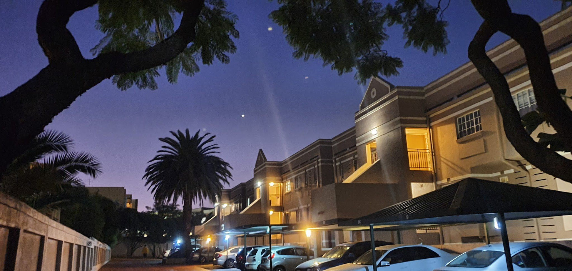 Waldorf 2 Morningside Jhb Johannesburg Gauteng South Africa House, Building, Architecture, Palm Tree, Plant, Nature, Wood, Moon, Car, Vehicle