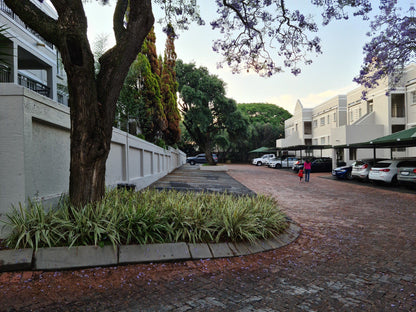 Waldorf 2 Morningside Jhb Johannesburg Gauteng South Africa House, Building, Architecture, Palm Tree, Plant, Nature, Wood