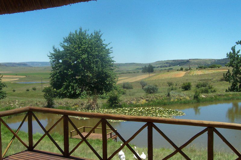 Walkabout Estate Guest Farm Ficksburg Free State South Africa Complementary Colors, Nature