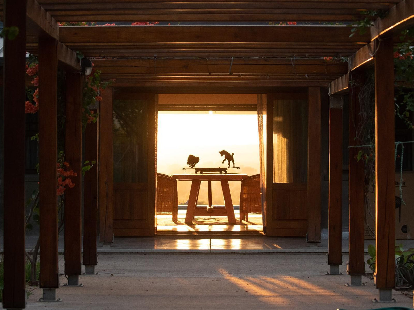 Walkers Plains Camp, Door, Architecture, Sauna, Wood, Sunset, Nature, Sky