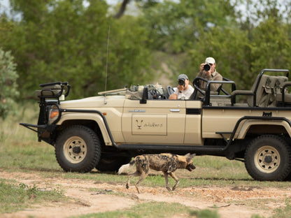 Walkers Plains Camp, Vehicle, Person