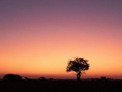 Walkers Plains Camp, Silhouette, Sky, Nature, Lowland, Sunset